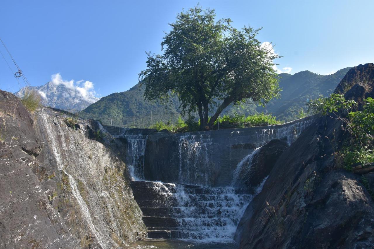 Hill Ventures Adventure Camp And Restaurant Hotell Dharamshala Eksteriør bilde